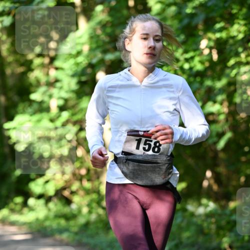 06.10.2024 - Bramfelder Halbmarathon 2024 Dr. Thomas Lammeyer http://msf.ph/oto/7343410 06.10.2024 10:56:16 Laufen 158 meine-sportfotos.de