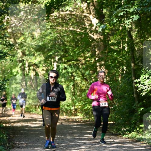 06.10.2024 - Bramfelder Halbmarathon 2024 Dr. Thomas Lammeyer http://msf.ph/oto/7343428 06.10.2024 10:56:27 Laufen 169, 278 meine-sportfotos.de