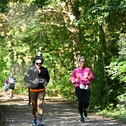 06.10.2024 - Bramfelder Halbmarathon 2024 Dr. Thomas Lammeyer http://msf.ph/oto/7343431 06.10.2024 10:56:27 Laufen 169, 278 meine-sportfotos.de
