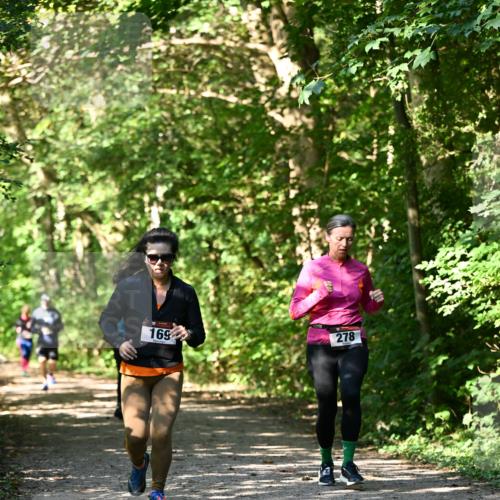 06.10.2024 - Bramfelder Halbmarathon 2024 Dr. Thomas Lammeyer http://msf.ph/oto/7343432 06.10.2024 10:56:27 Laufen 169, 278 meine-sportfotos.de