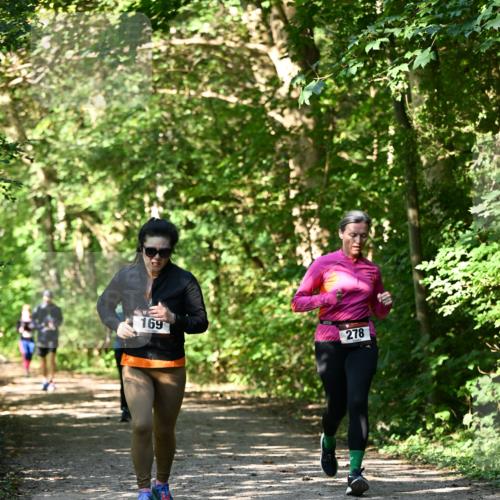 06.10.2024 - Bramfelder Halbmarathon 2024 Dr. Thomas Lammeyer http://msf.ph/oto/7343433 06.10.2024 10:56:27 Laufen 169, 278 meine-sportfotos.de