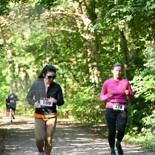 06.10.2024 - Bramfelder Halbmarathon 2024 Dr. Thomas Lammeyer http://msf.ph/oto/7343437 06.10.2024 10:56:28 Laufen 278, 169 meine-sportfotos.de