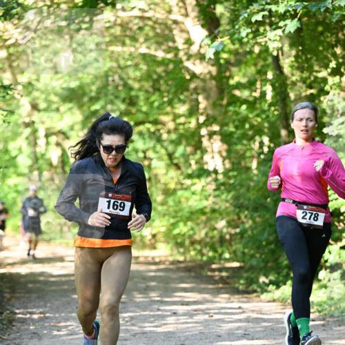 06.10.2024 - Bramfelder Halbmarathon 2024 Dr. Thomas Lammeyer http://msf.ph/oto/7343438 06.10.2024 10:56:29 Laufen 169, 278 meine-sportfotos.de