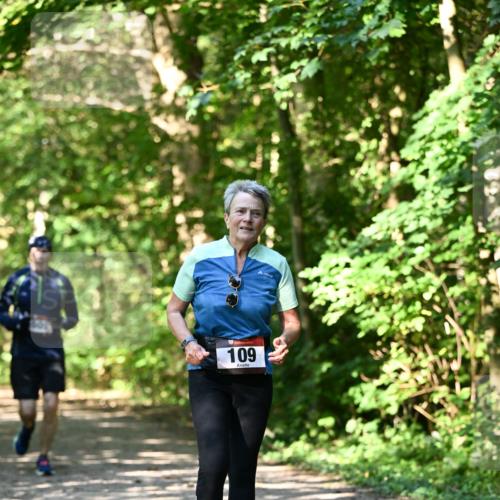 06.10.2024 - Bramfelder Halbmarathon 2024 Dr. Thomas Lammeyer http://msf.ph/oto/7343456 06.10.2024 10:56:36 Laufen 109 meine-sportfotos.de