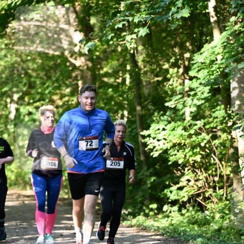 06.10.2024 - Bramfelder Halbmarathon 2024 Dr. Thomas Lammeyer http://msf.ph/oto/7343487 06.10.2024 10:56:55 Laufen 72, 205 meine-sportfotos.de
