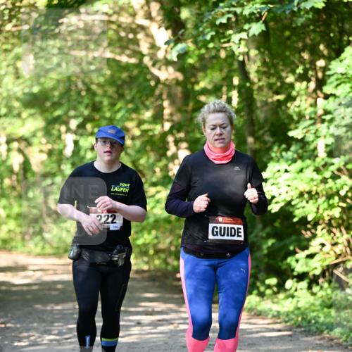 06.10.2024 - Bramfelder Halbmarathon 2024 Dr. Thomas Lammeyer http://msf.ph/oto/7343499 06.10.2024 10:56:58 Laufen 222 meine-sportfotos.de