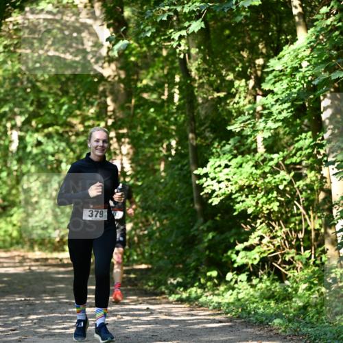 06.10.2024 - Bramfelder Halbmarathon 2024 Dr. Thomas Lammeyer http://msf.ph/oto/7343522 06.10.2024 10:57:13 Laufen 379 meine-sportfotos.de