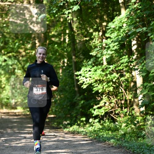 06.10.2024 - Bramfelder Halbmarathon 2024 Dr. Thomas Lammeyer http://msf.ph/oto/7343525 06.10.2024 10:57:14 Laufen 379 meine-sportfotos.de