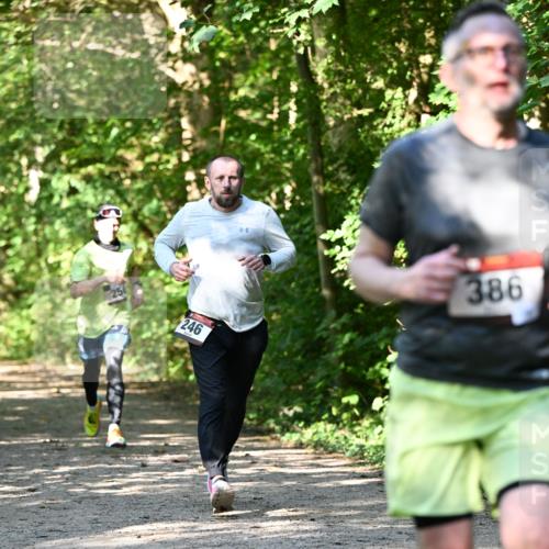 06.10.2024 - Bramfelder Halbmarathon 2024 Dr. Thomas Lammeyer http://msf.ph/oto/7343573 06.10.2024 10:57:29 Laufen 246, 386 meine-sportfotos.de