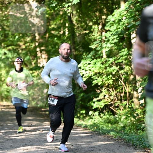 06.10.2024 - Bramfelder Halbmarathon 2024 Dr. Thomas Lammeyer http://msf.ph/oto/7343577 06.10.2024 10:57:30 Laufen 3, 246 meine-sportfotos.de
