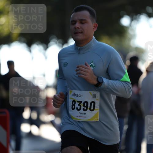 06.10.2024 - 19. swb-Marathon Bremen Michael Strokosch http://msf.ph/oto/7348582 06.10.2024 10:37:05 Laufen 8390 meine-sportfotos.de