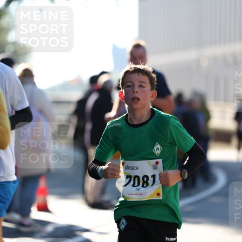 06.10.2024 - 19. swb-Marathon Bremen Michael Strokosch http://msf.ph/oto/7349278 06.10.2024 10:38:58 Laufen 81, 7081 meine-sportfotos.de
