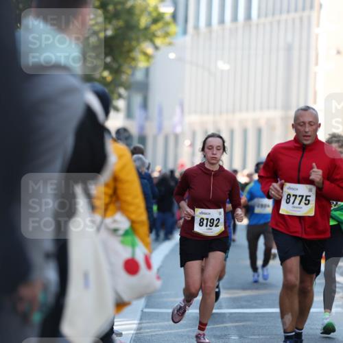 06.10.2024 - 19. swb-Marathon Bremen Michael Strokosch http://msf.ph/oto/7349582 06.10.2024 10:41:28 Laufen 8192, 8775 meine-sportfotos.de