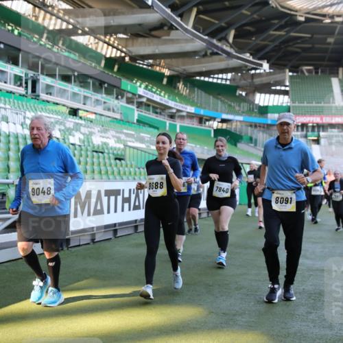 06.10.2024 - 19. swb-Marathon Bremen Yannick Fuchs http://msf.ph/oto/7357673 06.10.2024 10:40:48 Laufen im Stadion 7092, 7129, 7132, 7145, 7272, 7288, 7554, 7598, 7601, 7625, 7661, 7754, 7840, 7888, 7912, 7915, 7928, 7936, 7946, 7972, 7982, 8091, 8146, 8210, 8230, 8688, 8695, 8746, 8747, 8765, 8808, 8809, 8847, 8899, 8988, 9048, 9076, 9078 meine-sportfotos.de