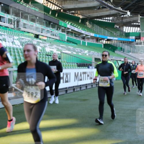 06.10.2024 - 19. swb-Marathon Bremen Yannick Fuchs http://msf.ph/oto/7357852 06.10.2024 10:40:53 Laufen im Stadion 7092, 7129, 7132, 7272, 7288, 7554, 7598, 7601, 7619, 7625, 7661, 7701, 7702, 7840, 7888, 7912, 7915, 7928, 7936, 7946, 7972, 7982, 8091, 8146, 8210, 8230, 8688, 8695, 8746, 8747, 8765, 8809, 8847, 8861, 8899, 8988, 9048, 9076, 9078 meine-sportfotos.de