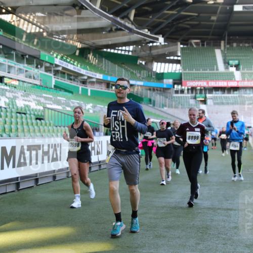 06.10.2024 - 19. swb-Marathon Bremen Yannick Fuchs http://msf.ph/oto/7358007 06.10.2024 10:41:01 Laufen im Stadion 7272, 7288, 7385, 7396, 7520, 7554, 7598, 7601, 7619, 7625, 7701, 7702, 7810, 7821, 7840, 7888, 7912, 7915, 7928, 7936, 7946, 7972, 7982, 8091, 8146, 8210, 8230, 8688, 8746, 8747, 8765, 8809, 8847, 8861, 8899, 9076, 9078 meine-sportfotos.de