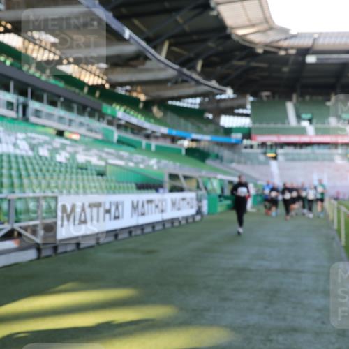 06.10.2024 - 19. swb-Marathon Bremen Yannick Fuchs http://msf.ph/oto/7358317 06.10.2024 10:41:07 Laufen im Stadion 7272, 7288, 7385, 7396, 7520, 7598, 7601, 7619, 7625, 7701, 7702, 7810, 7821, 7888, 7912, 7915, 7928, 7936, 7972, 7982, 8046, 8210, 8230, 8490, 8691, 8746, 8747, 8765, 8809, 8847, 8853, 8861, 8899, 8969, 8979, 9076, 9078 meine-sportfotos.de