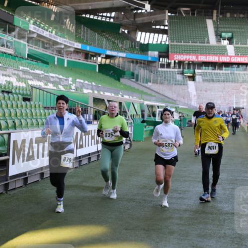 06.10.2024 - 19. swb-Marathon Bremen Yannick Fuchs http://msf.ph/oto/7358373 06.10.2024 10:39:27 Laufen im Stadion 7043, 7151, 7311, 7324, 7331, 7695, 7780, 7781, 7868, 7922, 7934, 7948, 7960, 8064, 8110, 8249, 8279, 8353, 8453, 8587, 8734, 8795, 8855, 8872, 8881, 8950, 9011 meine-sportfotos.de