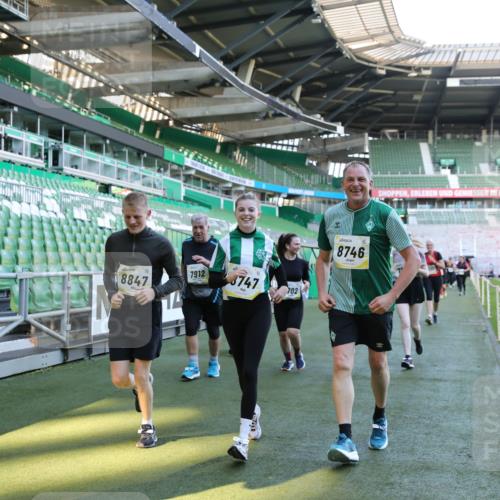 06.10.2024 - 19. swb-Marathon Bremen Yannick Fuchs http://msf.ph/oto/7358450 06.10.2024 10:41:18 Laufen im Stadion 7077, 7078, 7177, 7181, 7272, 7385, 7396, 7520, 7601, 7619, 7625, 7665, 7668, 7669, 7701, 7702, 7810, 7821, 7912, 7928, 8016, 8046, 8097, 8210, 8230, 8250, 8320, 8490, 8691, 8746, 8747, 8762, 8800, 8832, 8847, 8853, 8861, 8863, 8899, 8935, 8969, 8979 meine-sportfotos.de