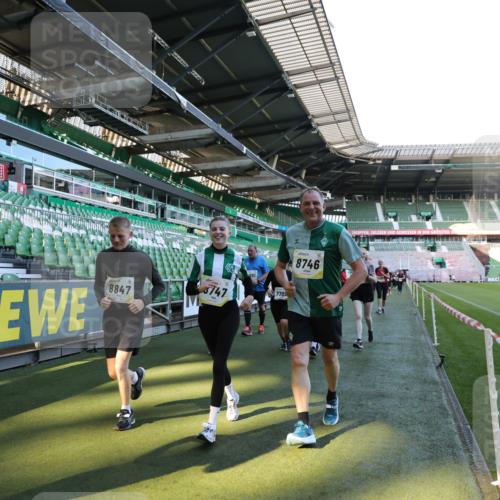 06.10.2024 - 19. swb-Marathon Bremen Yannick Fuchs http://msf.ph/oto/7358573 06.10.2024 10:41:19 Laufen im Stadion 7077, 7078, 7177, 7181, 7272, 7385, 7396, 7520, 7601, 7619, 7625, 7665, 7668, 7669, 7701, 7702, 7810, 7821, 7912, 7928, 8016, 8046, 8097, 8210, 8230, 8250, 8320, 8490, 8691, 8709, 8746, 8747, 8762, 8800, 8832, 8847, 8853, 8861, 8863, 8899, 8935, 8969, 8979 meine-sportfotos.de