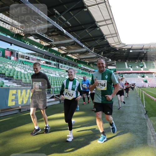 06.10.2024 - 19. swb-Marathon Bremen Yannick Fuchs http://msf.ph/oto/7358577 06.10.2024 10:41:19 Laufen im Stadion 7077, 7078, 7177, 7181, 7272, 7385, 7396, 7520, 7601, 7619, 7625, 7665, 7668, 7669, 7701, 7702, 7810, 7821, 7912, 7928, 8016, 8046, 8097, 8210, 8230, 8250, 8320, 8490, 8691, 8709, 8746, 8747, 8762, 8800, 8832, 8847, 8853, 8861, 8863, 8899, 8935, 8969, 8979 meine-sportfotos.de