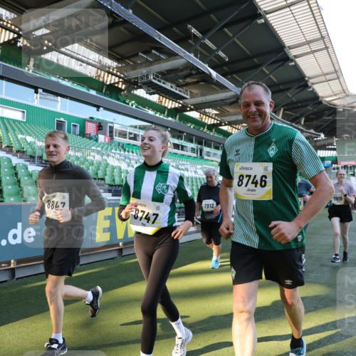 06.10.2024 - 19. swb-Marathon Bremen Yannick Fuchs http://msf.ph/oto/7358593 06.10.2024 10:41:19 Laufen im Stadion 7077, 7078, 7177, 7181, 7272, 7385, 7396, 7520, 7601, 7619, 7625, 7665, 7668, 7669, 7701, 7702, 7810, 7821, 7912, 7928, 8016, 8046, 8097, 8210, 8230, 8250, 8320, 8490, 8691, 8709, 8746, 8747, 8762, 8800, 8832, 8847, 8853, 8861, 8863, 8899, 8935, 8969, 8979 meine-sportfotos.de