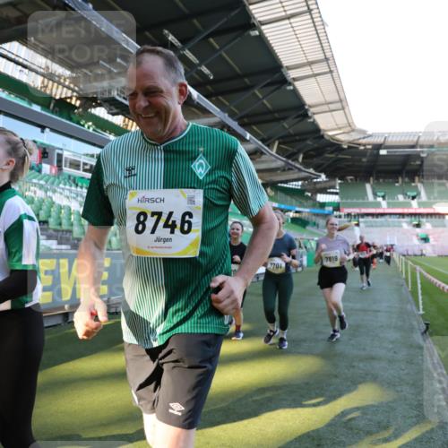 06.10.2024 - 19. swb-Marathon Bremen Yannick Fuchs http://msf.ph/oto/7358622 06.10.2024 10:41:20 Laufen im Stadion 7077, 7078, 7177, 7181, 7272, 7385, 7396, 7520, 7601, 7619, 7625, 7665, 7668, 7669, 7701, 7702, 7810, 7821, 7912, 7928, 8016, 8046, 8097, 8210, 8230, 8250, 8320, 8490, 8691, 8709, 8746, 8747, 8762, 8800, 8832, 8847, 8853, 8861, 8863, 8935, 8969, 8979, 9030, 9120 meine-sportfotos.de