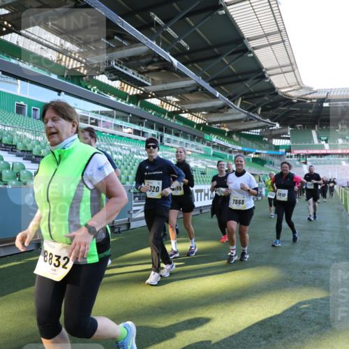 06.10.2024 - 19. swb-Marathon Bremen Yannick Fuchs http://msf.ph/oto/7359446 06.10.2024 10:41:45 Laufen im Stadion 7077, 7078, 7163, 7177, 7181, 7309, 7385, 7520, 7602, 7665, 7668, 7669, 7692, 7712, 7740, 7742, 7765, 7766, 7804, 7866, 7901, 8016, 8046, 8097, 8250, 8320, 8344, 8372, 8434, 8482, 8490, 8527, 8528, 8691, 8709, 8762, 8800, 8832, 8844, 8853, 8863, 8935, 8969, 8979, 9030, 9120, 9989 meine-sportfotos.de