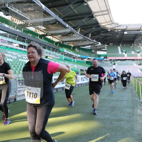 06.10.2024 - 19. swb-Marathon Bremen Yannick Fuchs http://msf.ph/oto/7359586 06.10.2024 10:41:48 Laufen im Stadion 7077, 7078, 7163, 7177, 7181, 7309, 7602, 7665, 7668, 7669, 7692, 7712, 7740, 7742, 7765, 7766, 7804, 7866, 7901, 8016, 8046, 8097, 8250, 8320, 8344, 8372, 8434, 8482, 8490, 8527, 8528, 8691, 8709, 8762, 8800, 8832, 8844, 8853, 8863, 8935, 8969, 8979, 9030, 9045, 9120, 9989 meine-sportfotos.de
