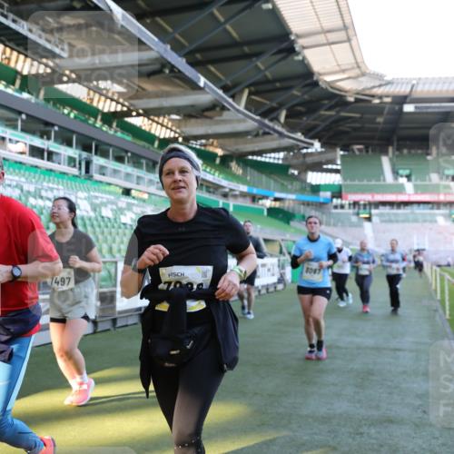 06.10.2024 - 19. swb-Marathon Bremen Yannick Fuchs http://msf.ph/oto/7361391 06.10.2024 10:42:40 Laufen im Stadion 7069, 7096, 7097, 7174, 7291, 7422, 7426, 7483, 7497, 7676, 7795, 8087, 8262, 8280, 8281, 8284, 8299, 8307, 8484, 8487, 8669, 8692, 8706, 8882, 8886, 8887, 8942, 8963, 8976, 9998 meine-sportfotos.de