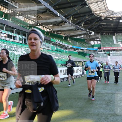06.10.2024 - 19. swb-Marathon Bremen Yannick Fuchs http://msf.ph/oto/7361410 06.10.2024 10:42:41 Laufen im Stadion 7069, 7096, 7097, 7174, 7291, 7422, 7426, 7497, 7676, 7795, 8087, 8262, 8280, 8281, 8284, 8299, 8307, 8484, 8487, 8669, 8692, 8706, 8882, 8886, 8887, 8942, 8963, 8976, 9998 meine-sportfotos.de