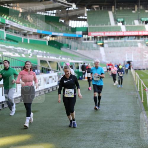 06.10.2024 - 19. swb-Marathon Bremen Yannick Fuchs http://msf.ph/oto/7362075 06.10.2024 10:40:26 Laufen im Stadion 7092, 7129, 7132, 7145, 7304, 7519, 7525, 7554, 7624, 7661, 7754, 7840, 7913, 7936, 7946, 7972, 7982, 8091, 8146, 8505, 8632, 8688, 8695, 8743, 8773, 8808, 8809, 8850, 8909, 8910, 8911, 8988, 9048, 9098 meine-sportfotos.de