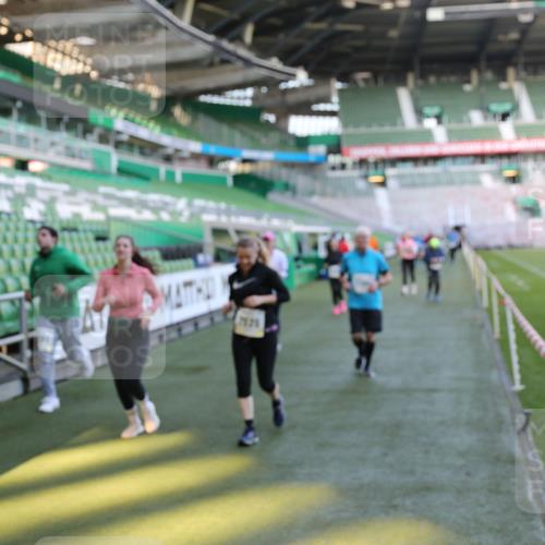 06.10.2024 - 19. swb-Marathon Bremen Yannick Fuchs http://msf.ph/oto/7362105 06.10.2024 10:40:26 Laufen im Stadion 7092, 7129, 7132, 7145, 7304, 7519, 7525, 7554, 7624, 7661, 7754, 7840, 7913, 7936, 7946, 7972, 7982, 8091, 8146, 8505, 8632, 8688, 8695, 8743, 8773, 8808, 8809, 8850, 8909, 8910, 8911, 8988, 9048, 9098 meine-sportfotos.de