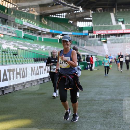 06.10.2024 - 19. swb-Marathon Bremen Yannick Fuchs http://msf.ph/oto/7371536 06.10.2024 10:42:55 Laufen im Stadion 7069, 7174, 7271, 7368, 7422, 7704, 7822, 7859, 8243, 8262, 8280, 8281, 8284, 8484, 8487, 8851, 8963, 9998 meine-sportfotos.de