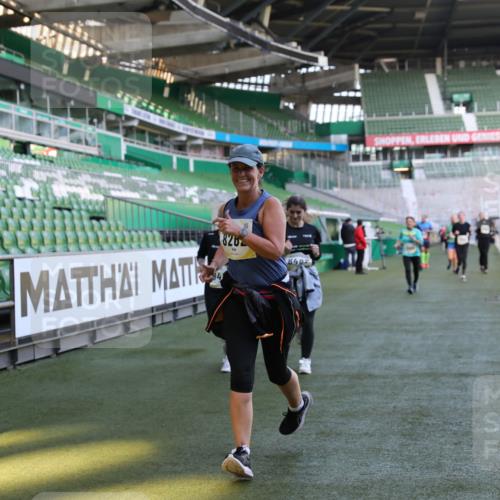 06.10.2024 - 19. swb-Marathon Bremen Yannick Fuchs http://msf.ph/oto/7371548 06.10.2024 10:42:55 Laufen im Stadion 7069, 7174, 7271, 7368, 7422, 7704, 7822, 7859, 8243, 8262, 8280, 8281, 8284, 8484, 8487, 8851, 8963, 9998 meine-sportfotos.de