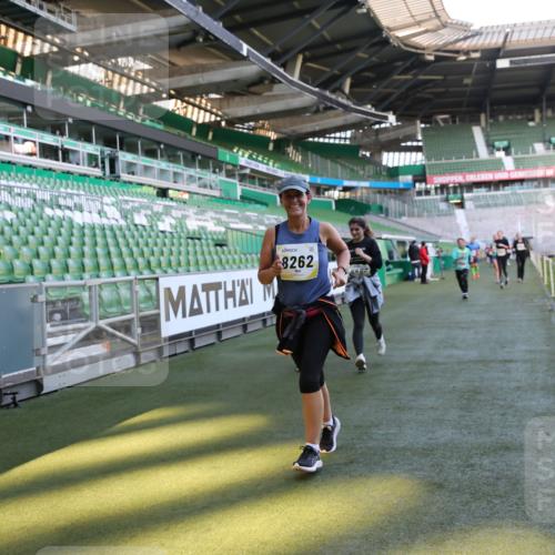 06.10.2024 - 19. swb-Marathon Bremen Yannick Fuchs http://msf.ph/oto/7371562 06.10.2024 10:42:55 Laufen im Stadion 7069, 7174, 7271, 7368, 7422, 7704, 7822, 7859, 8243, 8262, 8280, 8281, 8284, 8484, 8487, 8851, 8963, 9998 meine-sportfotos.de
