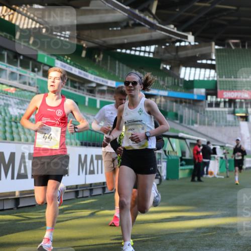 06.10.2024 - 19. swb-Marathon Bremen Yannick Fuchs http://msf.ph/oto/7375178 06.10.2024 10:16:44 Laufen im Stadion 44, 51, 7498, 8080, 8211, 8559, 8600 meine-sportfotos.de