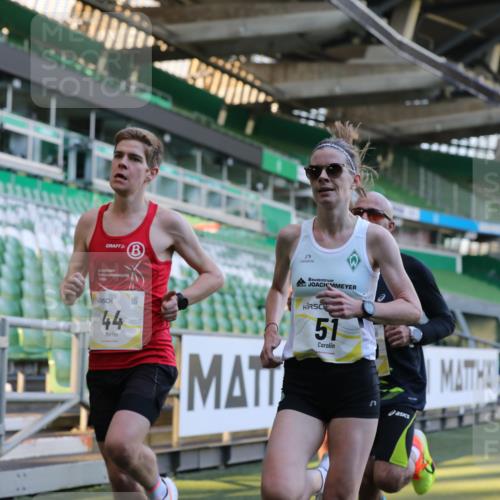 06.10.2024 - 19. swb-Marathon Bremen Yannick Fuchs http://msf.ph/oto/7375214 06.10.2024 10:16:44 Laufen im Stadion 44, 51, 7498, 8080, 8211, 8559, 8600 meine-sportfotos.de