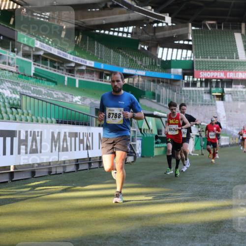 06.10.2024 - 19. swb-Marathon Bremen Yannick Fuchs http://msf.ph/oto/7378927 06.10.2024 10:19:41 Laufen im Stadion 7190, 8139, 8423, 8442, 8531, 8577, 8655, 8788, 8938 meine-sportfotos.de