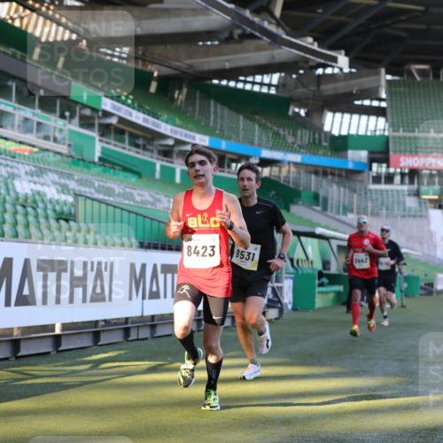 06.10.2024 - 19. swb-Marathon Bremen Yannick Fuchs http://msf.ph/oto/7378988 06.10.2024 10:19:43 Laufen im Stadion 7190, 8139, 8423, 8442, 8531, 8577, 8655, 8788, 8938, 8983 meine-sportfotos.de