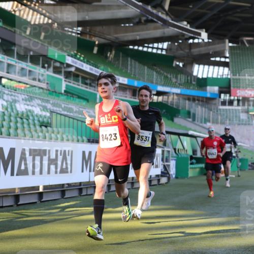 06.10.2024 - 19. swb-Marathon Bremen Yannick Fuchs http://msf.ph/oto/7378999 06.10.2024 10:19:44 Laufen im Stadion 7098, 7190, 8139, 8423, 8442, 8531, 8577, 8655, 8788, 8791, 8938, 8983 meine-sportfotos.de