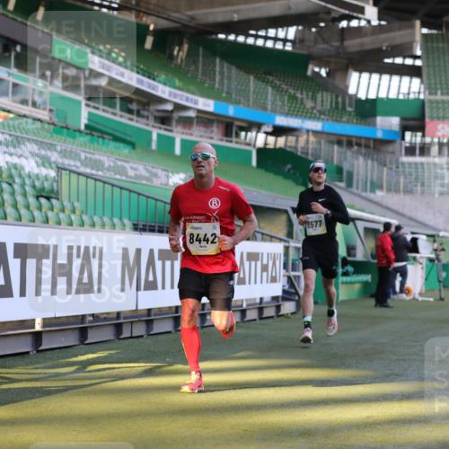 06.10.2024 - 19. swb-Marathon Bremen Yannick Fuchs http://msf.ph/oto/7379081 06.10.2024 10:19:45 Laufen im Stadion 7098, 8139, 8423, 8442, 8531, 8577, 8655, 8788, 8791, 8938, 8983 meine-sportfotos.de