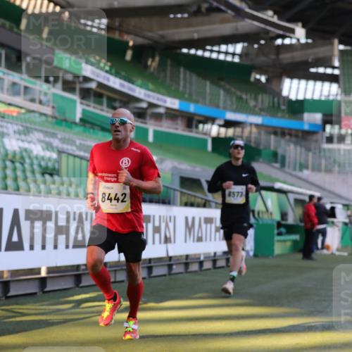 06.10.2024 - 19. swb-Marathon Bremen Yannick Fuchs http://msf.ph/oto/7379135 06.10.2024 10:19:46 Laufen im Stadion 7098, 8139, 8423, 8442, 8531, 8577, 8655, 8788, 8791, 8938, 8983 meine-sportfotos.de