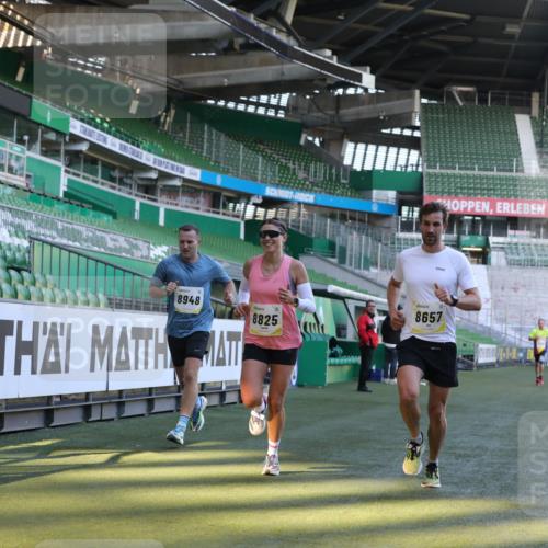 06.10.2024 - 19. swb-Marathon Bremen Yannick Fuchs http://msf.ph/oto/7380194 06.10.2024 10:20:54 Laufen im Stadion 7230, 7719, 8397, 8657, 8825, 8948, 8955, 9105 meine-sportfotos.de