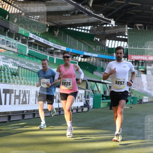 06.10.2024 - 19. swb-Marathon Bremen Yannick Fuchs http://msf.ph/oto/7380242 06.10.2024 10:20:55 Laufen im Stadion 7230, 7719, 8397, 8657, 8825, 8937, 8948, 8955, 9105 meine-sportfotos.de