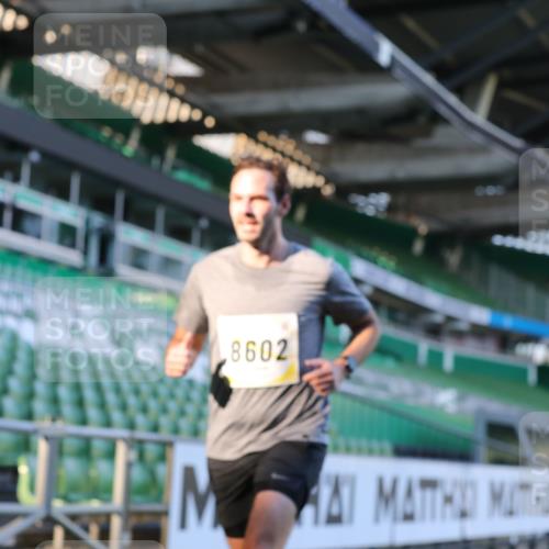 06.10.2024 - 19. swb-Marathon Bremen Yannick Fuchs http://msf.ph/oto/7381045 06.10.2024 10:21:26 Laufen im Stadion 7019, 7230, 7719, 7839, 8093, 8397, 8602, 8631, 8657, 8792, 8797, 8825, 8937, 8948 meine-sportfotos.de