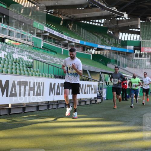 06.10.2024 - 19. swb-Marathon Bremen Yannick Fuchs http://msf.ph/oto/7381213 06.10.2024 10:21:31 Laufen im Stadion 7019, 7230, 7839, 8093, 8397, 8602, 8631, 8792, 8797, 8937, 8948 meine-sportfotos.de