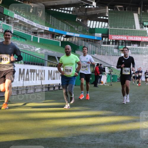 06.10.2024 - 19. swb-Marathon Bremen Yannick Fuchs http://msf.ph/oto/7381292 06.10.2024 10:21:34 Laufen im Stadion 7019, 7230, 7376, 7646, 7839, 7963, 8093, 8292, 8397, 8602, 8631, 8792, 8797, 8937 meine-sportfotos.de