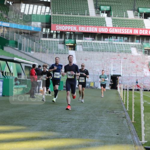 06.10.2024 - 19. swb-Marathon Bremen Yannick Fuchs http://msf.ph/oto/7381401 06.10.2024 10:21:39 Laufen im Stadion 7019, 7230, 7376, 7646, 7839, 7963, 8093, 8292, 8583, 8602, 8631, 8792, 8797, 8937 meine-sportfotos.de