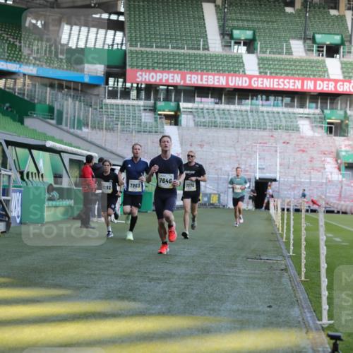 06.10.2024 - 19. swb-Marathon Bremen Yannick Fuchs http://msf.ph/oto/7381408 06.10.2024 10:21:39 Laufen im Stadion 7019, 7230, 7376, 7646, 7839, 7963, 8093, 8292, 8583, 8602, 8631, 8792, 8797, 8937 meine-sportfotos.de